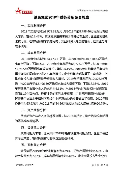 健民集团2019年财务分析结论报告