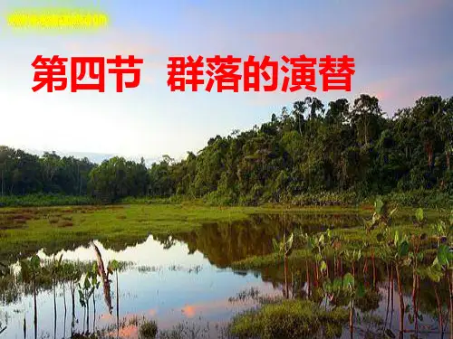 4.4群落的演替