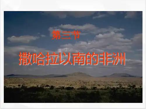 新人教版《撒哈拉以南的非洲》PPT优秀课件