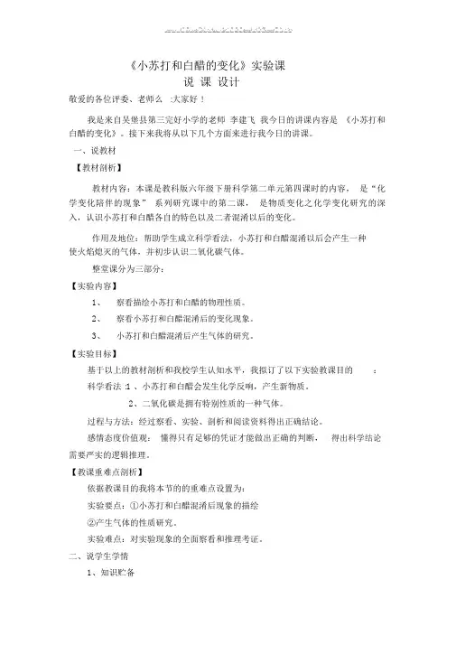 小苏打及白醋变化说课文稿