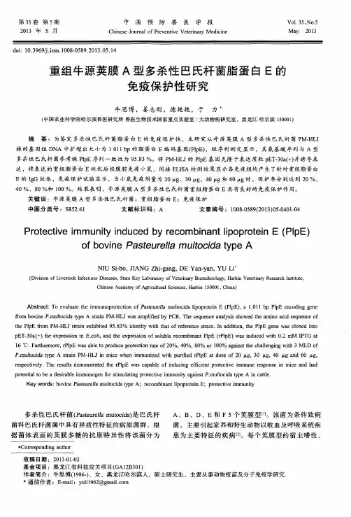 重组牛源荚膜A型多杀性巴氏杆菌脂蛋白E的免疫保护性研究