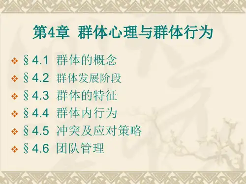 第4章群体心理和群体行为