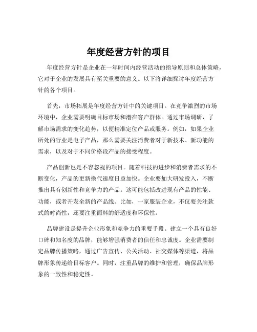 年度经营方针的项目