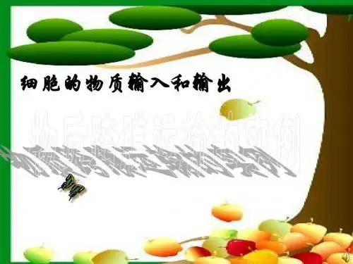 高一生物物质跨膜运输的实例