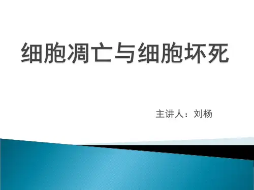 细胞凋亡与坏死