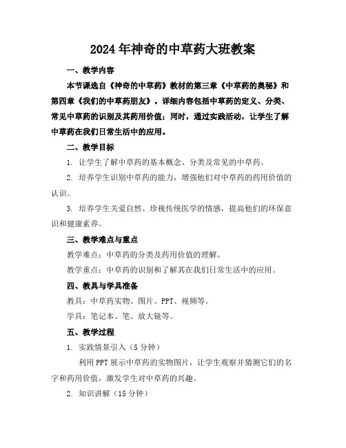 2024年神奇的中草药大班教案