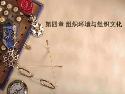 四章节组织环境与组织文化-精品文档