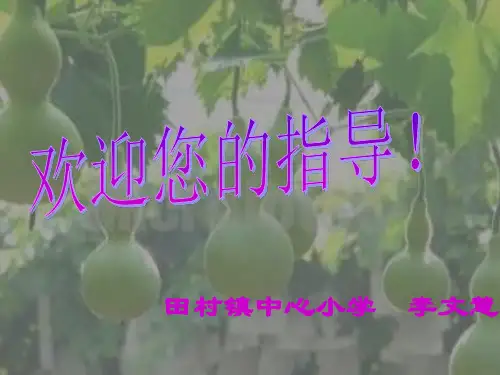小学人教版二年级语文上册《14、我要的是葫芦》ppt课件