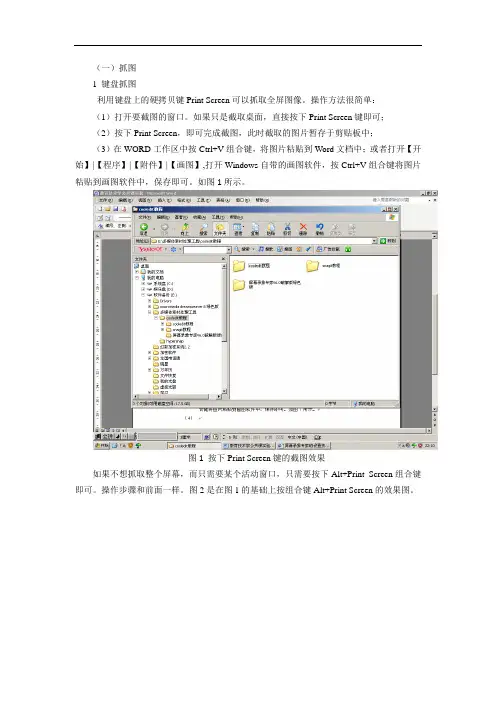 SnagIt的使用