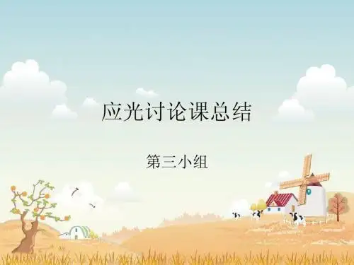 应光讨论课总结