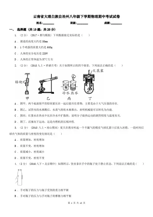 云南省大理白族自治州八年级下学期物理期中考试试卷