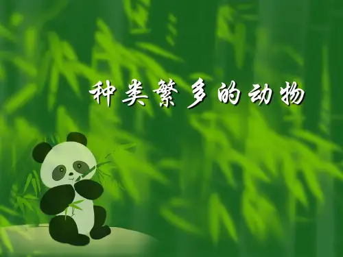 种类繁多的动物