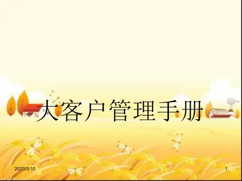 大客户销售管理手册 PPT