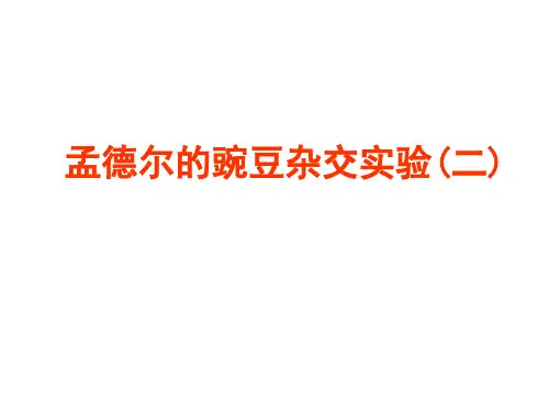 高中生物必修二孟德尔的豌豆杂交实验(二) 人教版