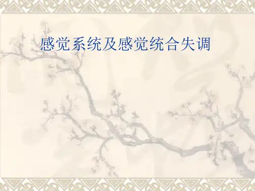 感觉系统及感觉统合失调PPT课件