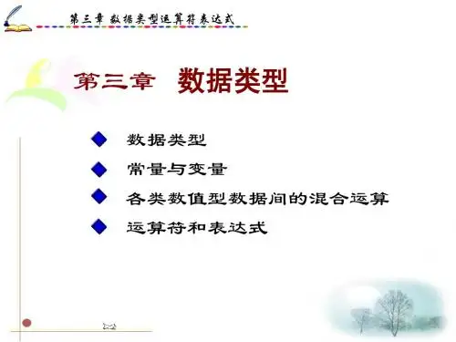 第03章 数据类型运算符表达式tgm