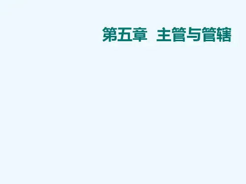 第5章_主管与管辖
