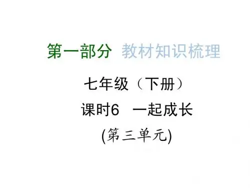 2015人民版政治九年级复习课件 课时6 一起成长(人民版)
