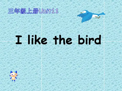 最新湘少版三年级英语上册课件 Unit 11- I like the bird