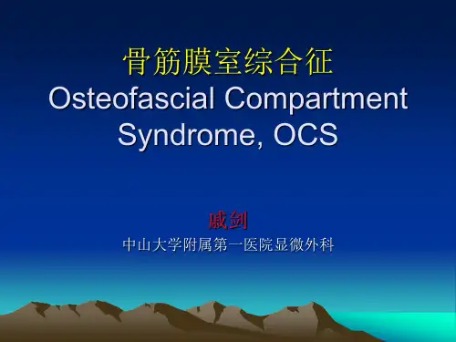 《骨筋膜室综合征》PPT课件