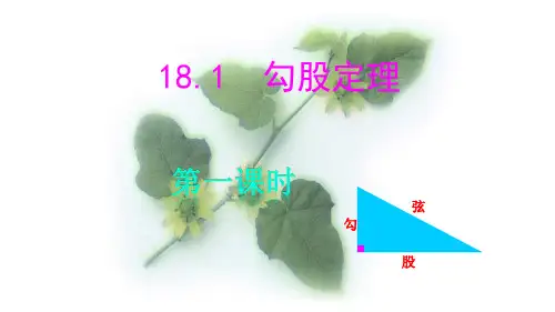 沪科版八年级下册数学： 第18章 勾股定理 181 勾股定理