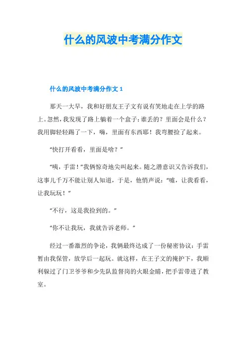 什么的风波中考满分作文