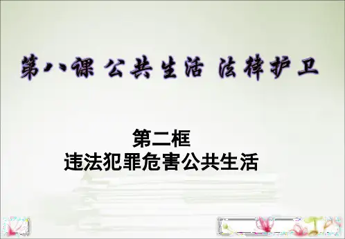 8.2违法犯罪危害公共生活