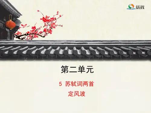 《定风波·莫听穿林打叶声》修改