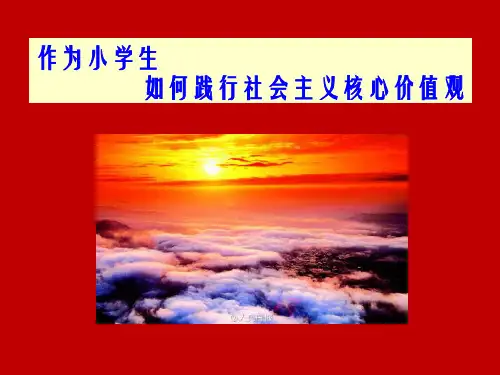 作为小学生如何践行社会主义核心价值观 一个接一个2