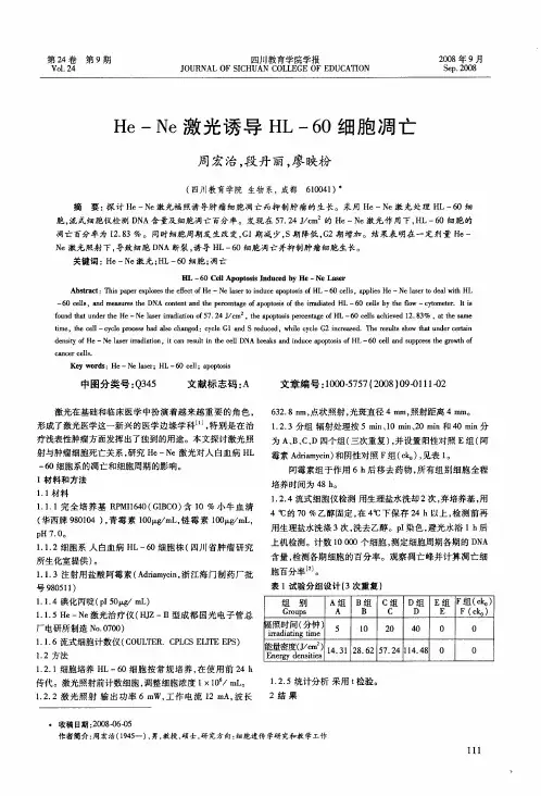 He—Ne激光诱导HL-60细胞凋亡
