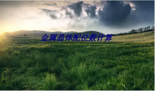 金属晶体配位数计算专题培训课件