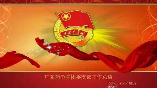广东药学院团委支部工作总结汇报模板