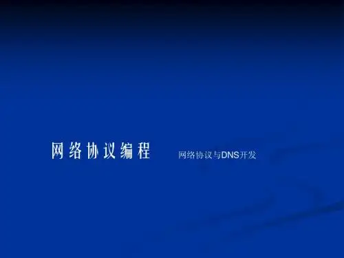DNS开发