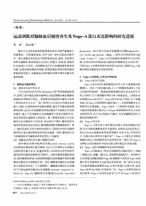 运动训练对脑缺血后轴突再生及Nogo—A蛋白表达影响的研究进展