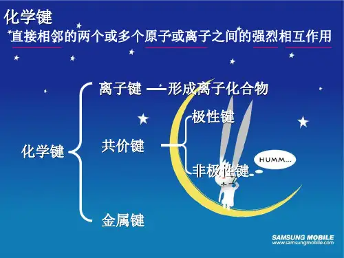 化学键和分子间作用力PPT
