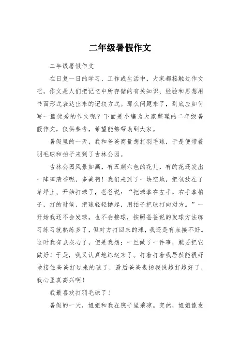 二年级暑假作文