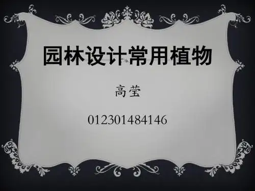 园林设计常用植物