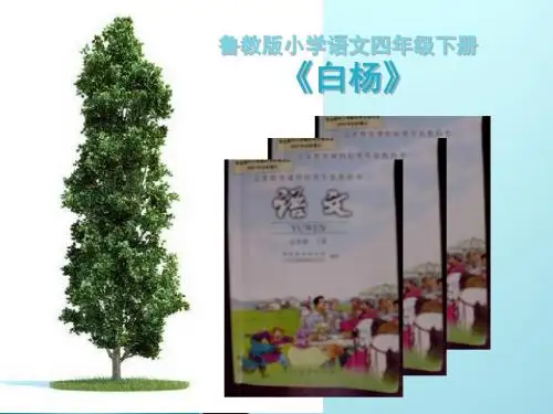 四年级下册语文说课课件-6.19白杨-鲁教版1