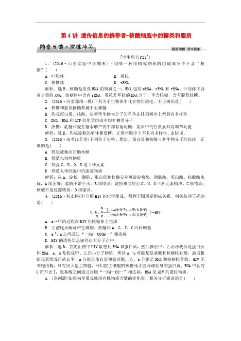高考生物大一轮复习 第一单元 细胞及分子组成 第4讲 遗传信息的携带者核酸细胞中的糖类和脂质随堂反馈