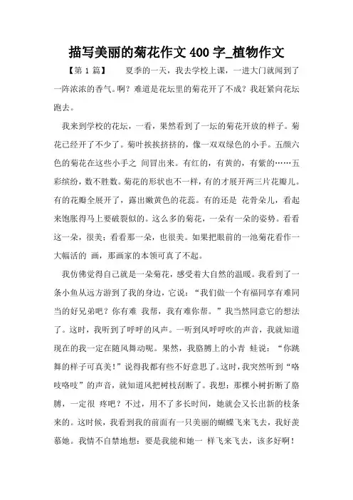 描写美丽的菊花作文400字_植物作文