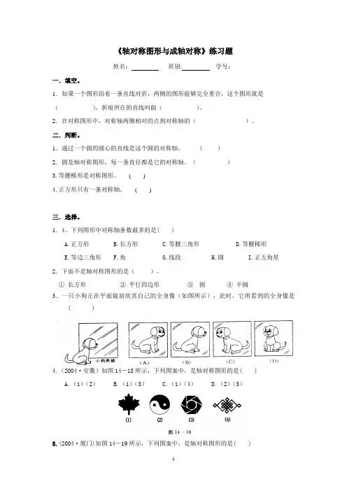 轴对称图形练习题 4