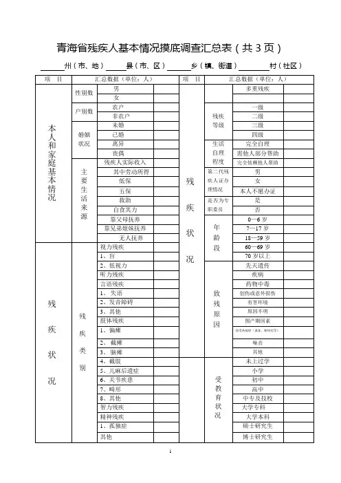 青海省残疾人基本情况摸底调查汇总表共3页