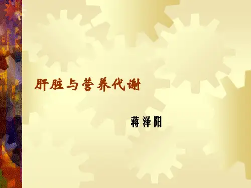 肝脏与营养代谢