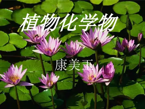 植物化学7 ppt课件