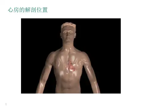 房颤射频消融治疗患者健康教育
