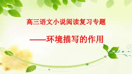 小说环境描写的作用ppt课件