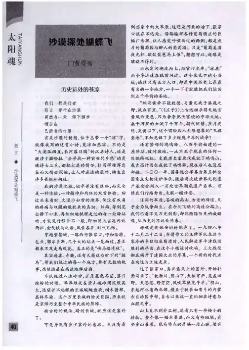 沙漠深处蝴蝶飞