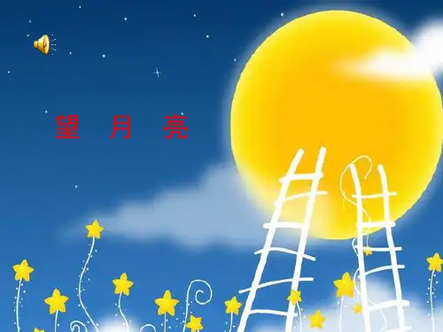 望月亮