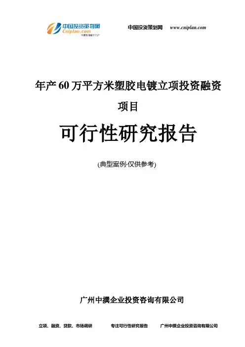 年产60万平方米塑胶电镀融资投资立项项目可行性研究报告(非常详细)