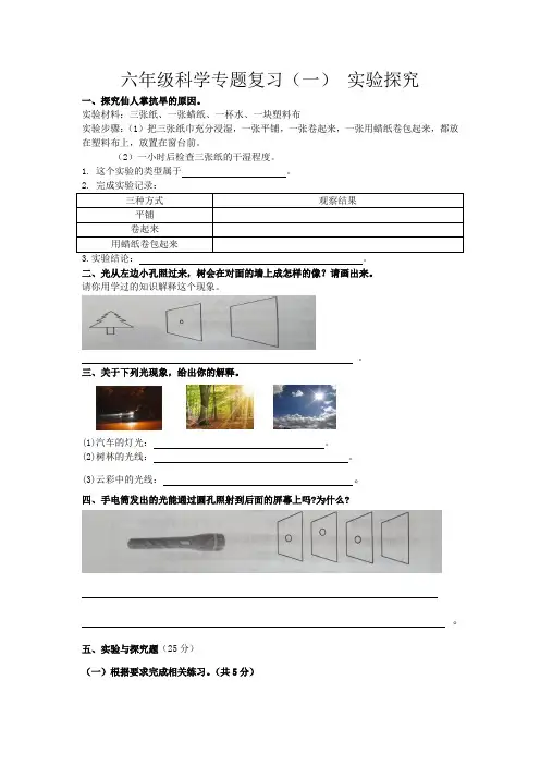 六年级科学专题复习(一) 科学实验探究